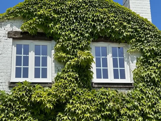 White astragal-bar windows on a characterful house in Baulers — Pulsar Windows