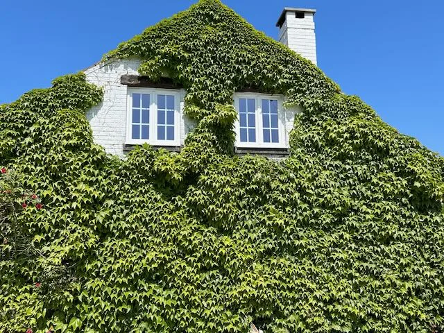 White astragal-bar windows on a characterful house in Baulers — Pulsar Windows