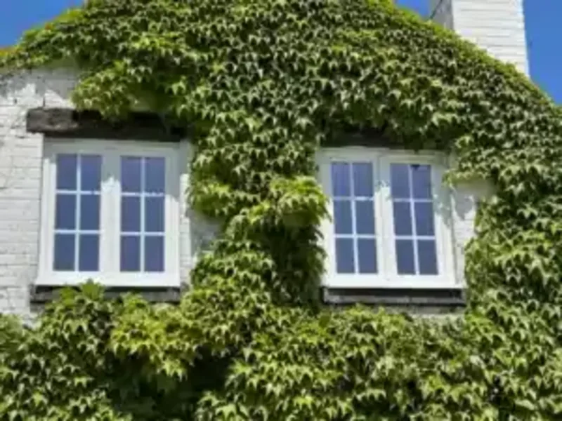 Fenêtres blanches à petits bois sur une maison de caractère à Baulers — Pulsar Windows